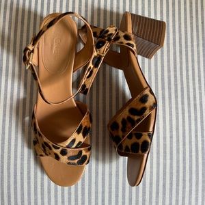J.Crew Cheetah Print Block Heal
